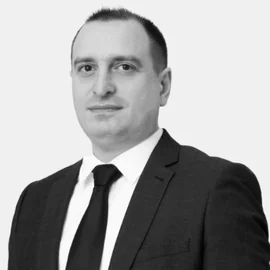 გიორგი ბრეგაძე 